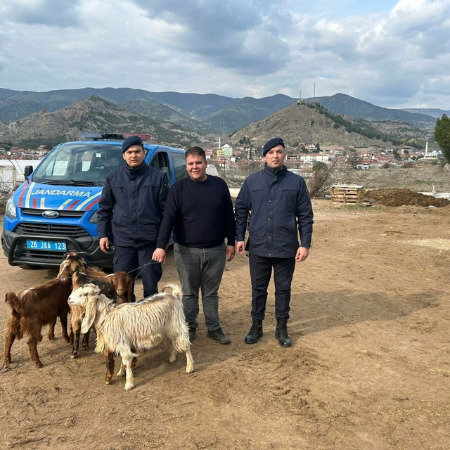 Eskişehir'de kaybolan 4 küçükbaş hayvan, dron yardımıyla bulundu
