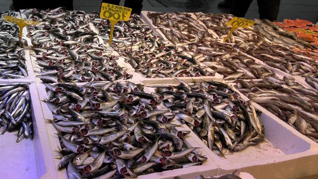 Ramazanda balığa ilgi azaldı