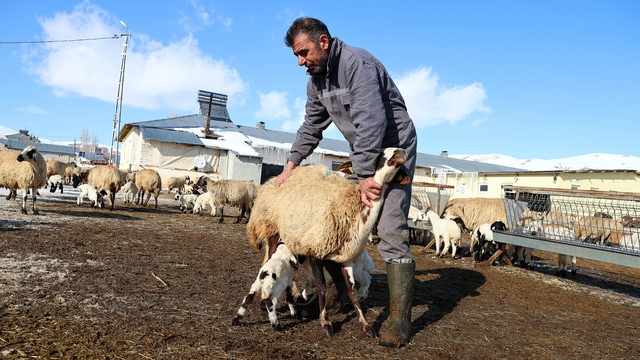 Bayburt'ta besicilerin zorlu kış mesaisi sürüyor