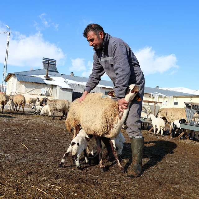 Bayburt'ta besicilerin zorlu kış mesaisi sürüyor