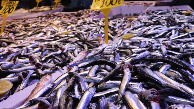 Trabzon'da ramazanda balığa talep arttı