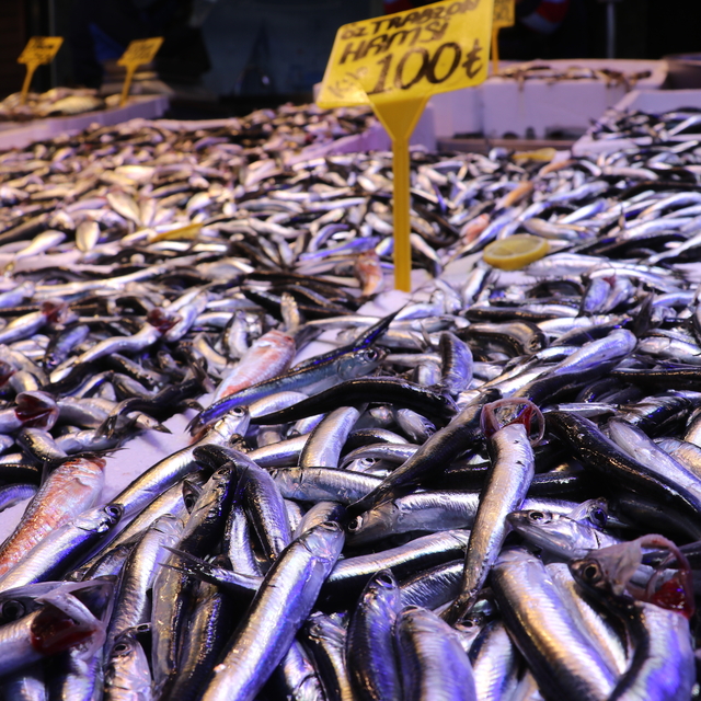 Trabzon'da ramazanda balığa talep arttı