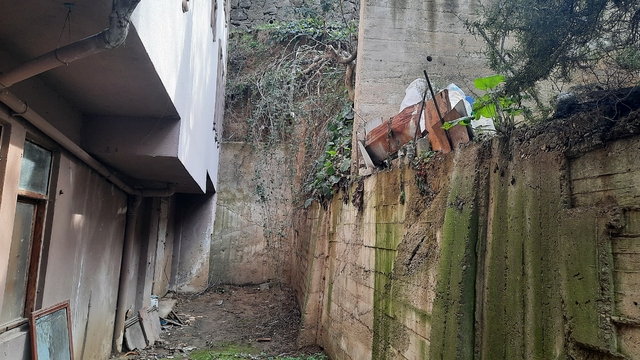 Kocaeli'de budadığı ağaçtan düşen kişi yaralandı