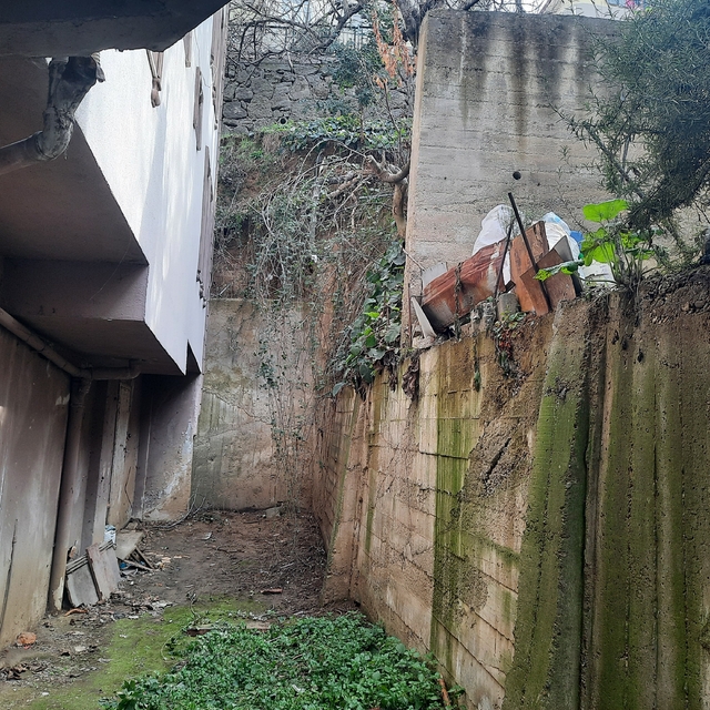 Kocaeli'de budadığı ağaçtan düşen kişi yaralandı