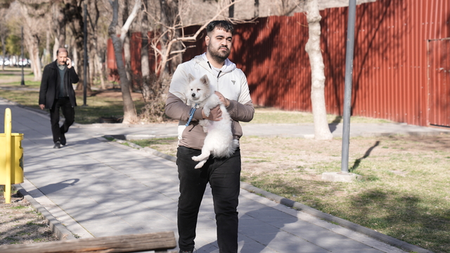 Diyarbakır'da ağzı ve ayakları bağlanan köpek hayvansever genç sayesinde kurtarıldı