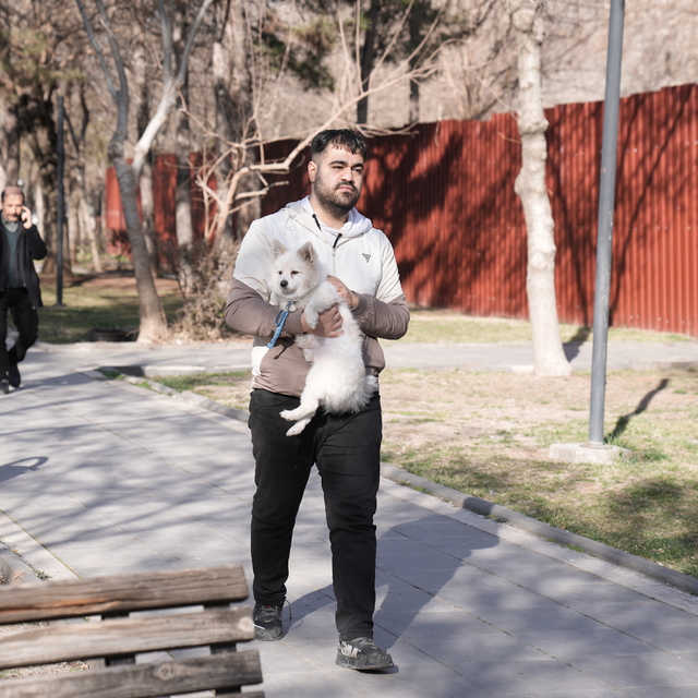 Diyarbakır'da ağzı ve ayakları bağlanan köpek hayvansever genç sayesinde ku...