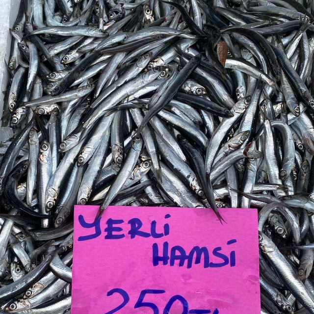 Ordu'da hamsinin kilogramı 250 liradan satılıyor