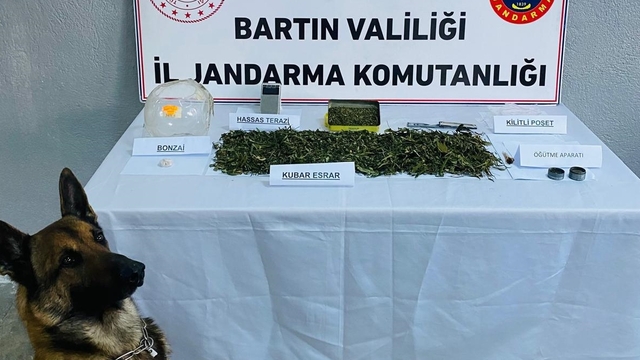 Bartın'da uyuşturucu ticareti yaptıkları iddiasıyla yakalanan 2 zanlı tutuklandı