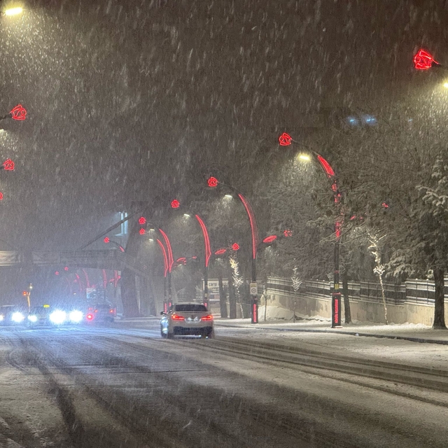 Bingöl'de kent merkezi ve 5 ilçede eğitime 1 gün ara