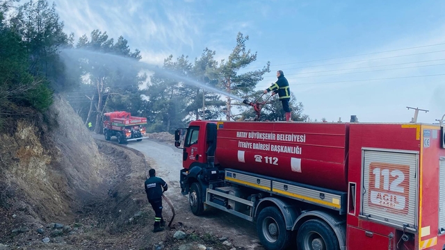 Hatay'da çıkan örtü yangını söndürüldü