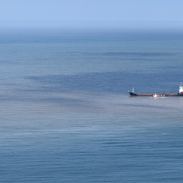 Bartın Irmağı'ndan akan çamurlu suyla denizin rengi değişti