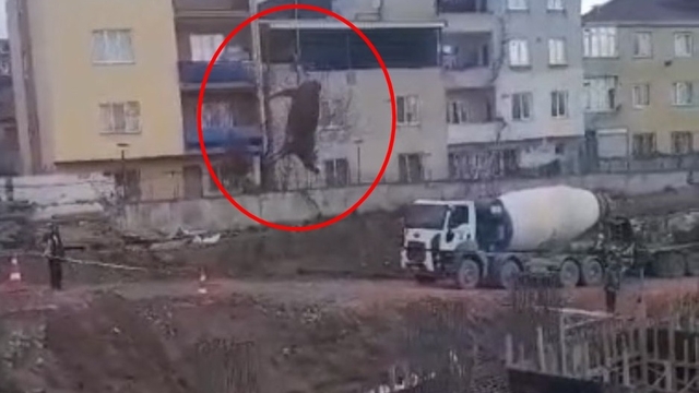 Ayağından halata bağlanan boğa, vinçle kesim alanına taşındı