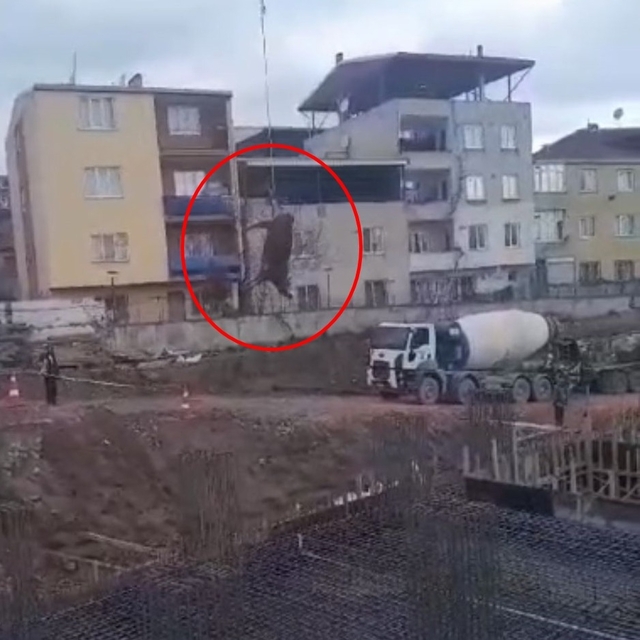 Ayağından halata bağlanan boğa, vinçle kesim alanına taşındı