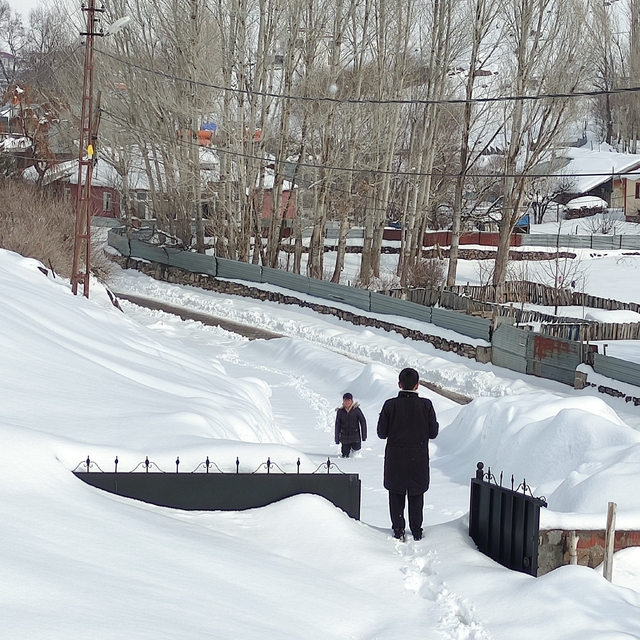 Bingöl'de kar; 130 köy yolu ulaşıma kapandı (2)