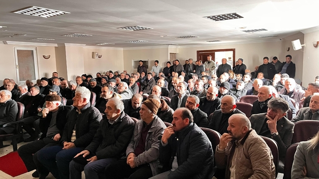 Salıpazarı'nda kahverengi kokarca ile mücadele sürüyor