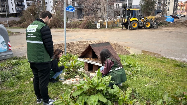 Giresun'da Yeşilay gönüllülerinden hayvanlara mama desteği