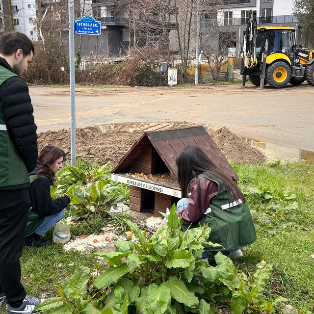 Giresun'da Yeşilay gönüllülerinden hayvanlara mama desteği