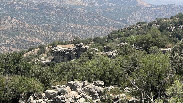 Şırnak'ta köy ve mezradaki 634 kişiye tapuları verildi