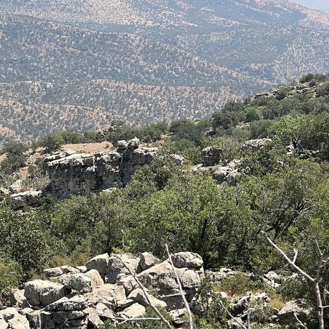 Şırnak'ta köy ve mezradaki 634 kişiye tapuları verildi