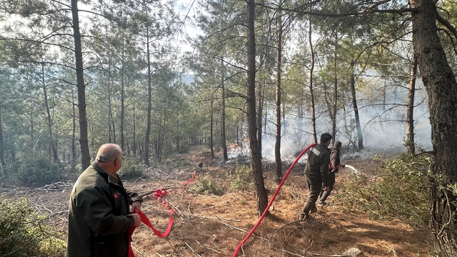 Osmaniye'de çıkan örtü yangını kontrol altına alındı