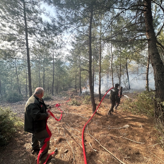 Osmaniye'de çıkan örtü yangını kontrol altına alındı