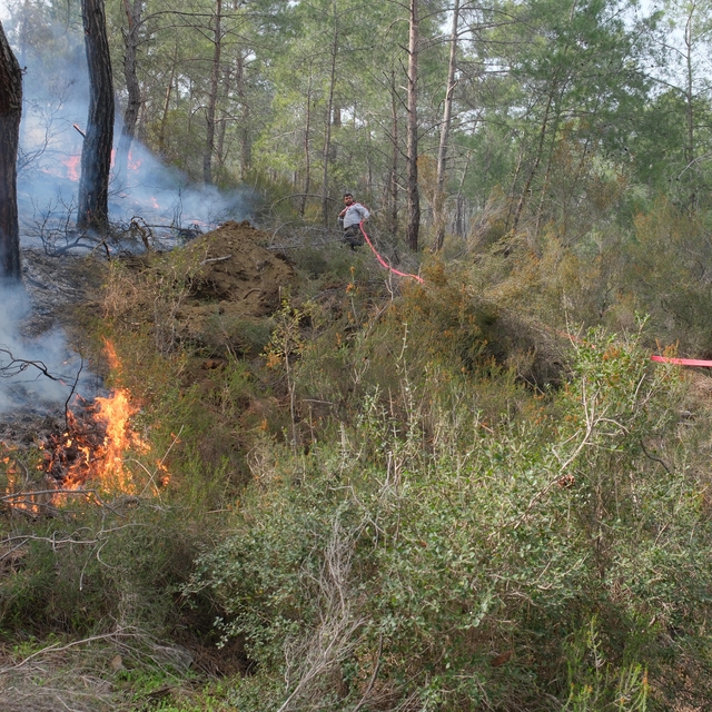 Antalya'da orman yangını kontrol altında (2)