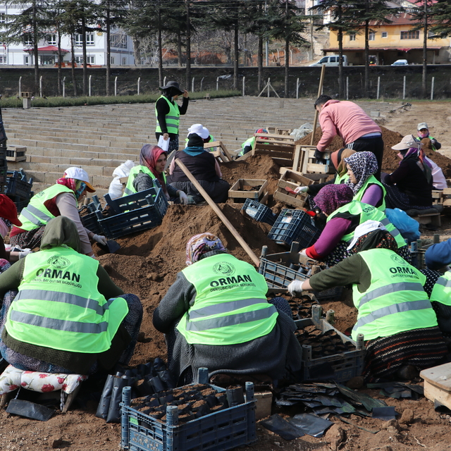 Kahramanmaraş'ta fidanlar kadınların ellerinde yeşeriyor