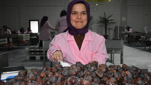 Gündüz hurma ve kuru meyve paketliyor, akşam EKPSS'ye hazırlanıyor