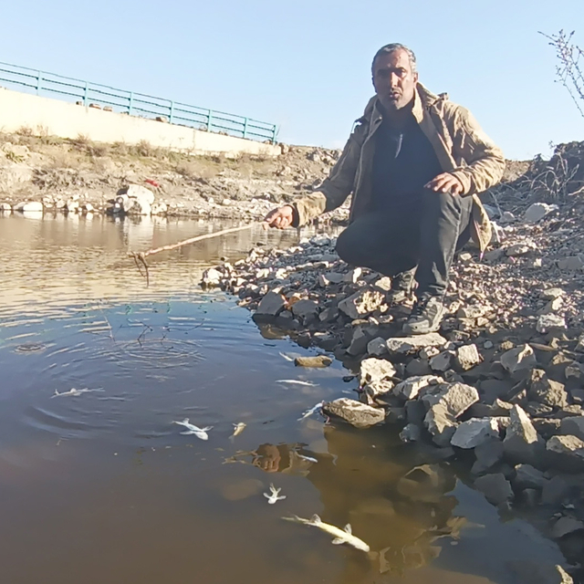 Balık ölümleri yaşanan Karasu Çayı'nda inceleme