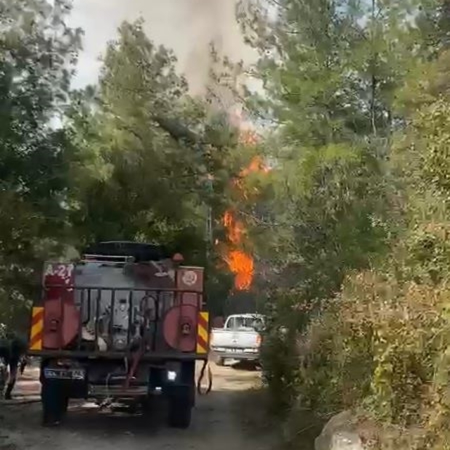 Kahramanmaraş'ta ormanlık alanda çıkan yangın söndürüldü