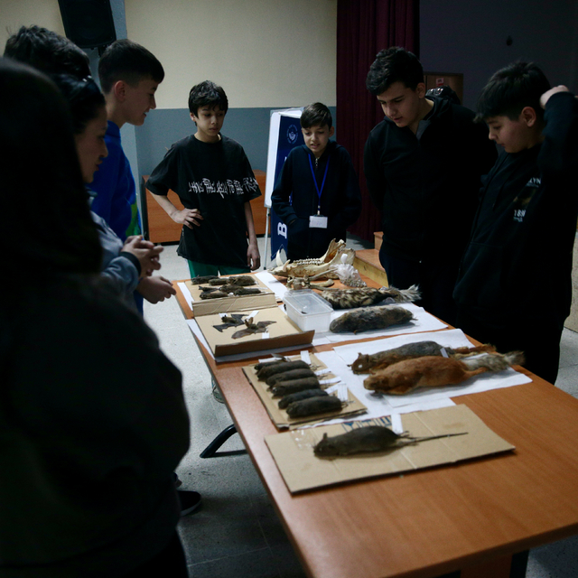 Bolu'da öğrenciler yaban hayatını görerek öğreniyor