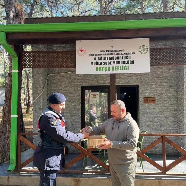 Datça'da jandarmanın yaralı bulduğu kumru tedaviye alındı