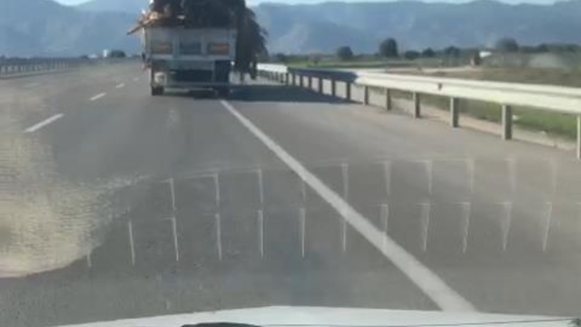 Tahta ve tomruklar yola saçıldı; şoför aldırmadan devam etti