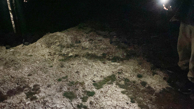 2 yaşındaki Rana, sokak köpeklerinin saldırısında öldü