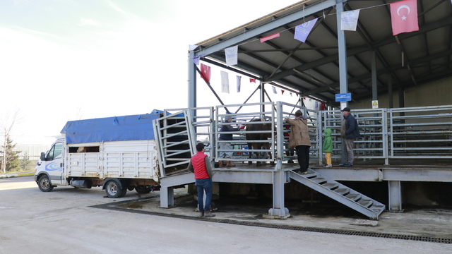 Kocaeli'de mezbahalarda ramazan yoğunluğu yaşanıyor