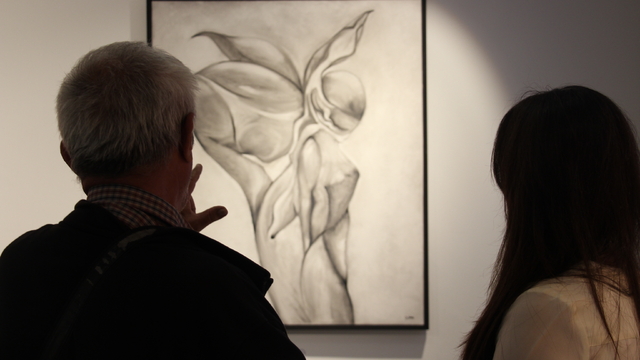Galeri