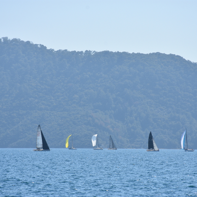 17. Campus Cup Yelkenli Yarışları