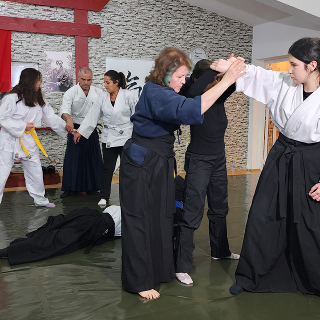 Hemcinslerine aikido öğretiyor