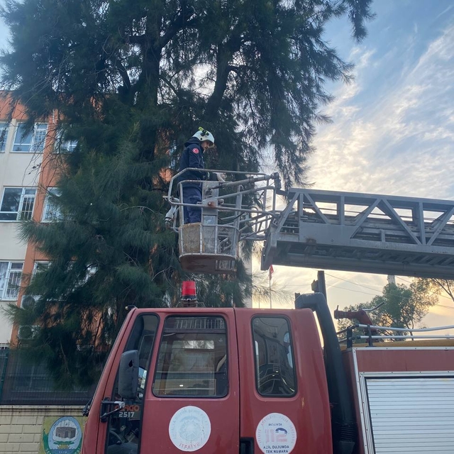 Serik'te ağaçta mahsur kalan kediyi itfaiye kurtardı