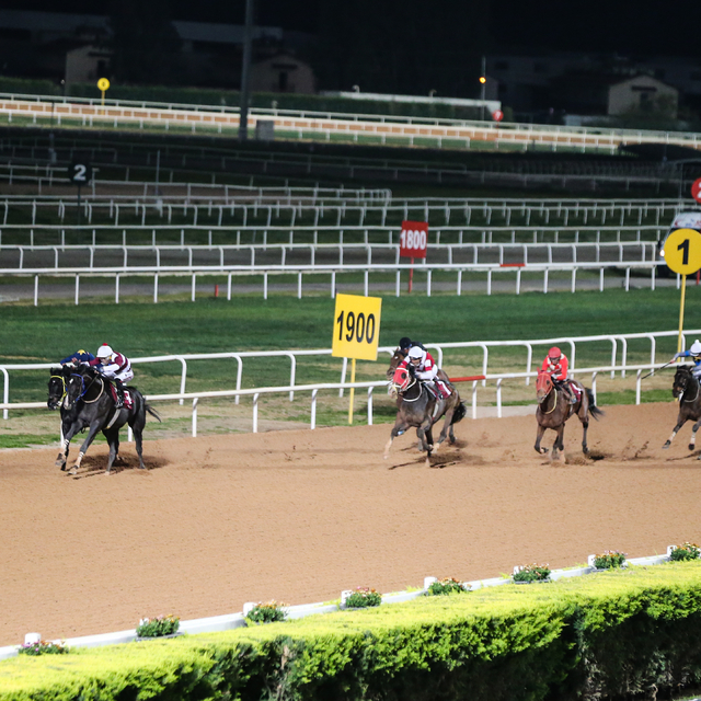 Adana'da "Özgecan Aslan-Kadına Şiddete Hayır Koşusu" yapıldı