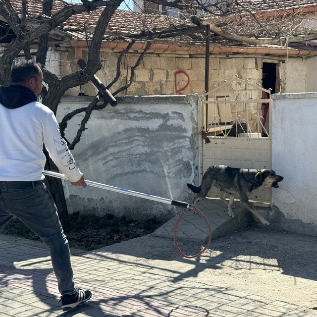 Karaman'da sahipli köpeğin saldırısından oğlunu kurtarmak isteyen baba yara...