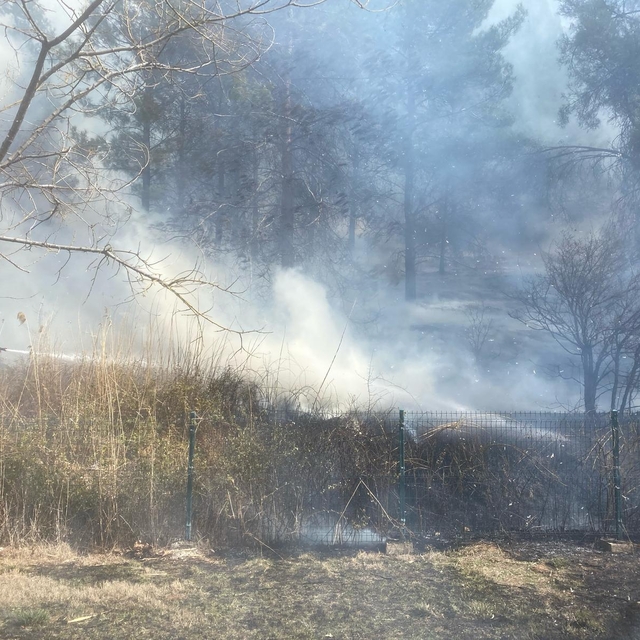 Adıyaman'da örtü yangını söndürüldü
