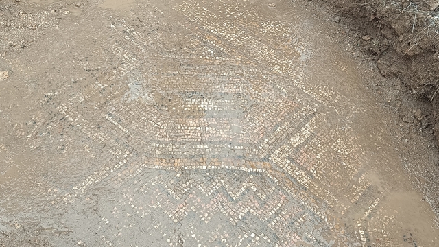 Galeri