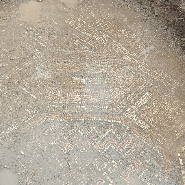 Diyarbakır'da mezar kazısında bulunan mozaik ile ilgili inceleme yapıldı