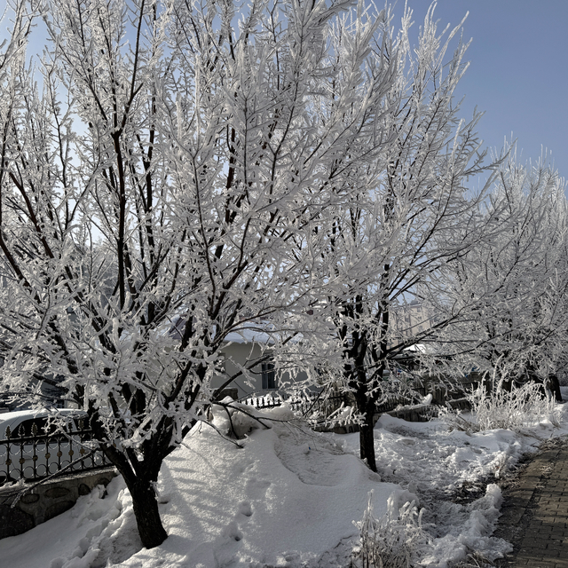 Ardahan'da sis ve kırağı oluştu, nehir yüzeyi buz tuttu
