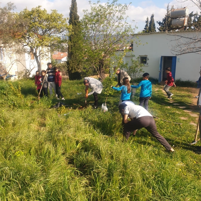 Datça'da İlçe Milli Eğitim Müdürlüğü bahçesine fidan dikildi