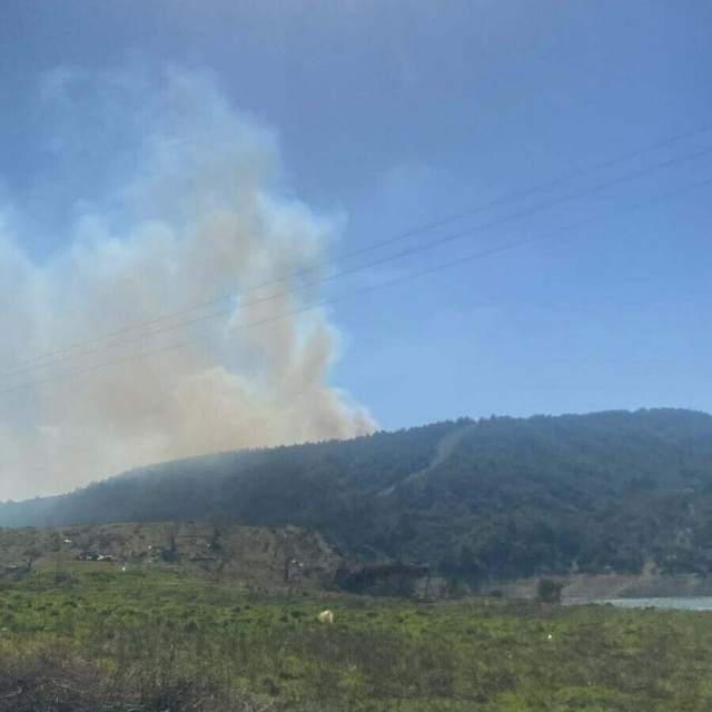 Çanakkale'de orman yangını