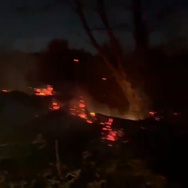 Yalova'da orman yangını 2 saatte söndürüldü