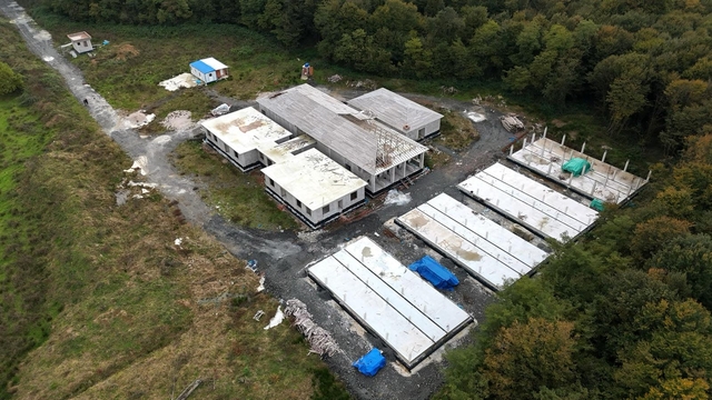 Samsun'da sahipsiz hayvanlara "konforlu" barınak inşa ediliyor