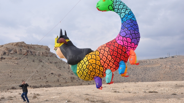 Dünya birincisi tavus kuşu ile şahmeran uçurtmalarını Venedik semalarında uçuracak